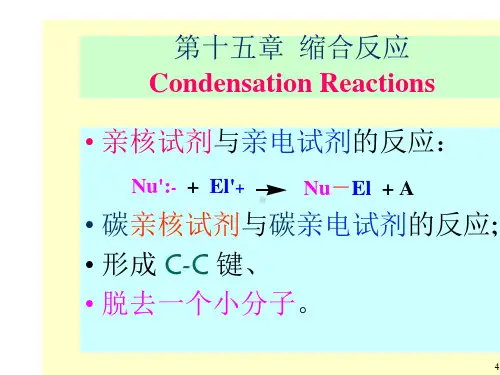 有机化学第十五章缩合反应
