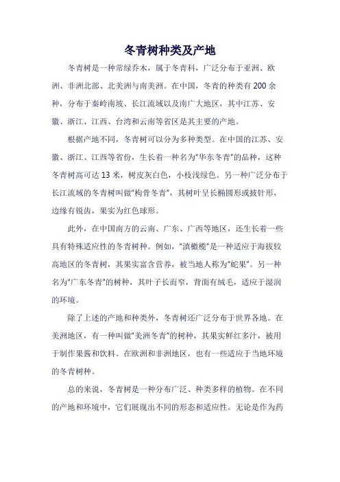 冬青树种类及产地