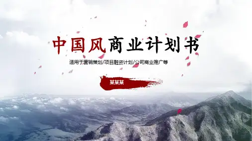 功能饮料商业计划书ppt模板