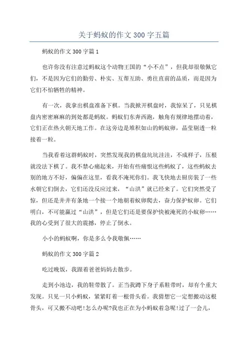 关于蚂蚁的作文300字五篇