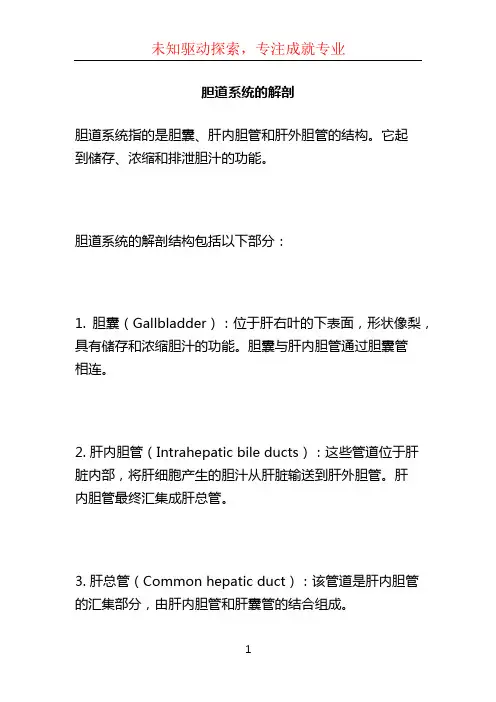 胆道系统的解剖 (3)