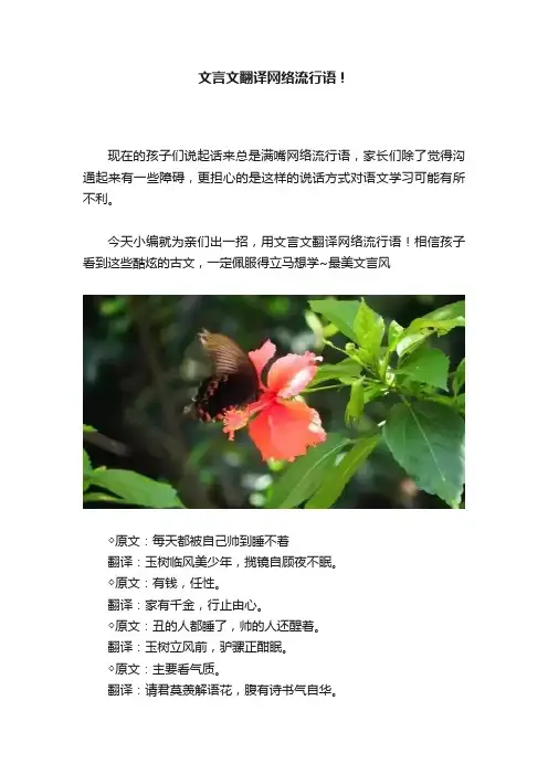 文言文翻译网络流行语！