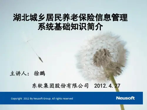 湖北城乡居民养老保险信息管理系统基础知识简介