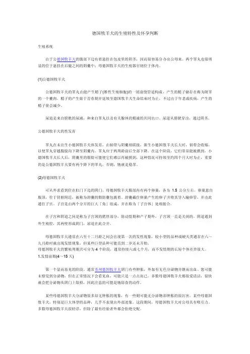 德国牧羊犬的生殖特性及怀孕判断