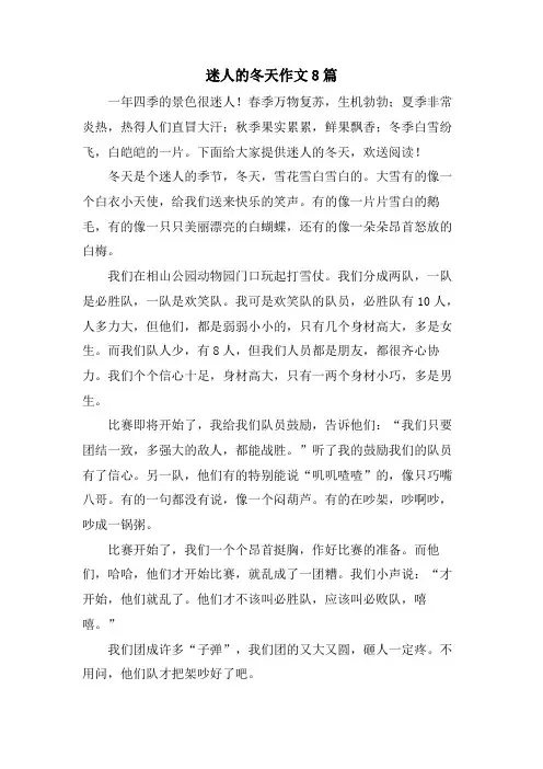 迷人的冬天作文8篇