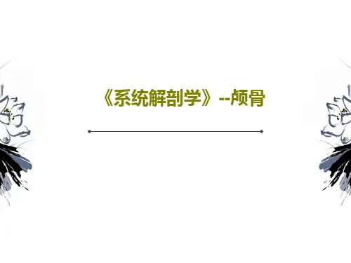 《系统解剖学》--颅骨PPT文档40页