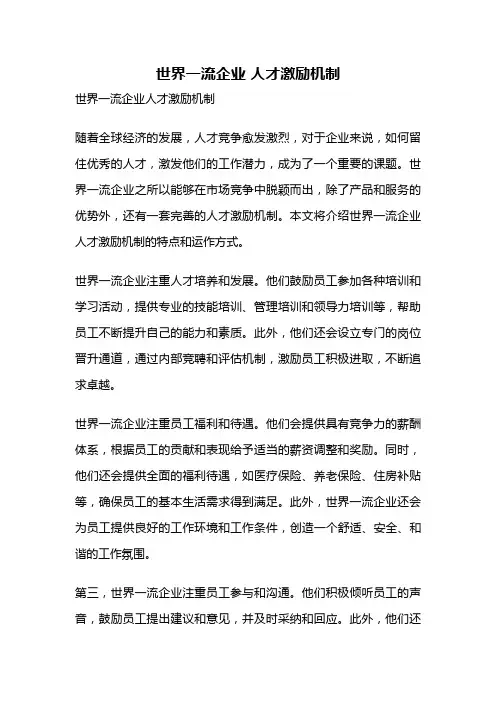 世界一流企业 人才激励机制