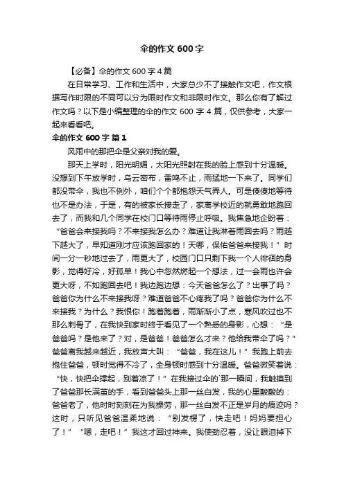 【必备】伞的作文600字4篇