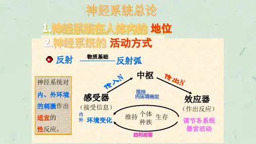 脊髓病变MR诊断课件