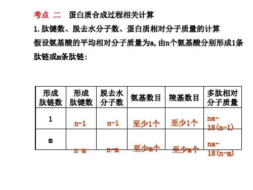 蛋白质合成过程相关计算
