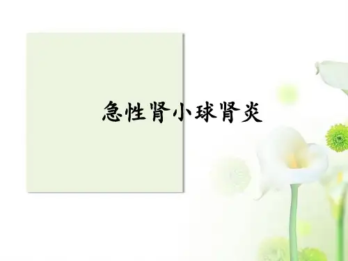 儿科学急性肾小球肾炎