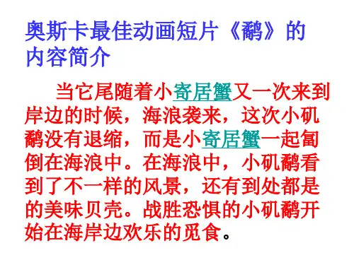 奥斯卡最佳动画短片鹬的启示