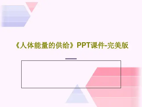 《人体能量的供给》PPT课件-完美版共32页