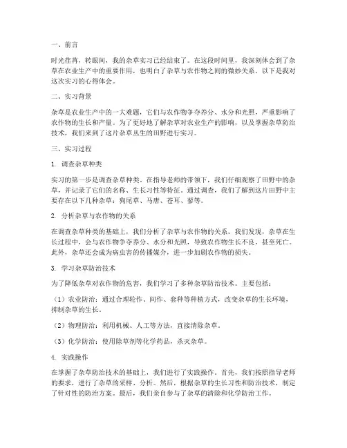杂草实习报告心得体会
