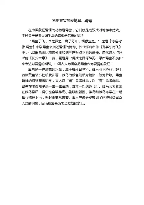 名副其实的爱情鸟…鸳鸯