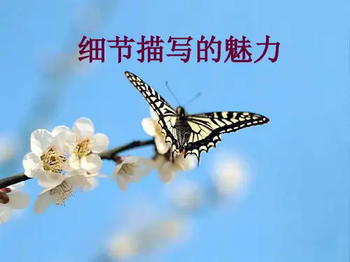 初中作文指导：《细节描写的魅力》PPT1