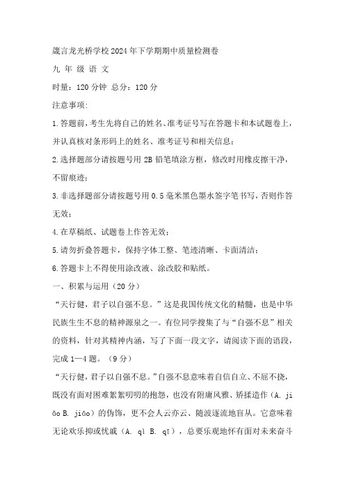 湖南省益阳市赫山区箴言龙光桥学校2024-2025学年九年级上学期期中考试语文试题(含答案)