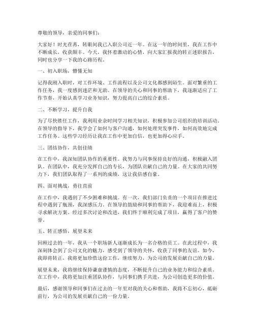 转正述职报告心路历程