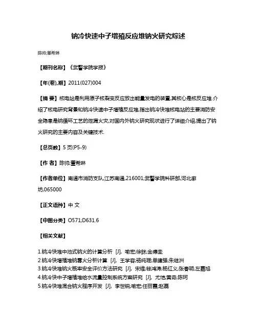钠冷快速中子增殖反应堆钠火研究综述