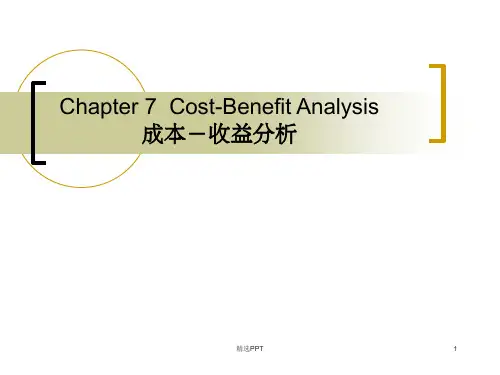 《成本收益分析》PPT课件 (2)
