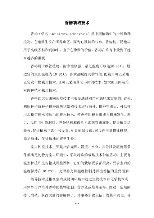 香椿栽培技术