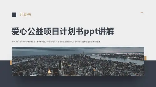 爱心公益项目计划书ppt讲解