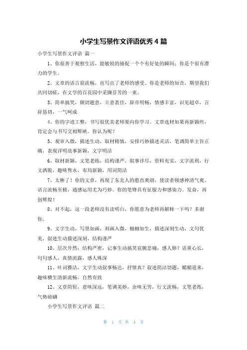 小学生写景作文评语优秀4篇