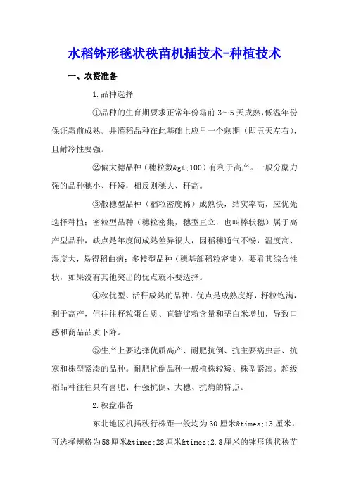 水稻钵形毯状秧苗机插技术 - 种植技术