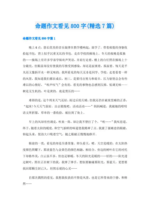 命题作文看见800字(精选7篇)