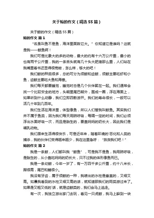 关于鲸的作文（精选55篇）