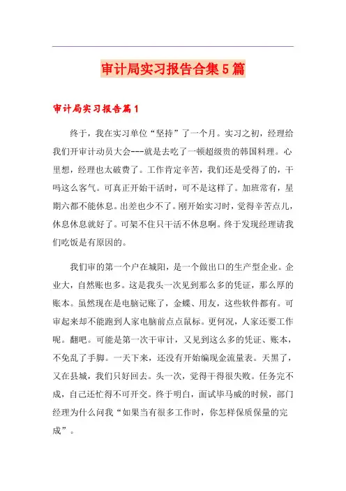 审计局实习报告合集5篇