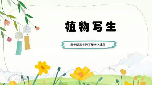 冀美版三年级下册美术课件植物写生PPT模板