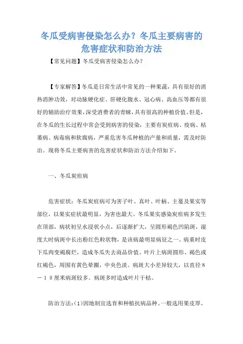 冬瓜受病害侵染怎么办？冬瓜主要病害的危害症状和防治方法