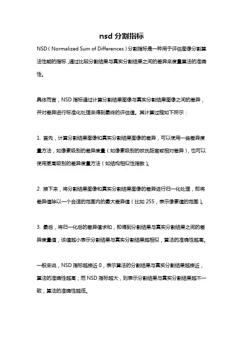 nsd分割指标