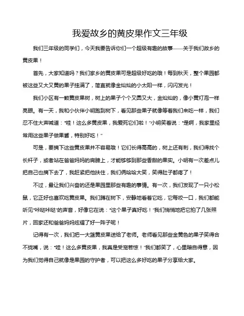 我爱故乡的黄皮果作文三年级