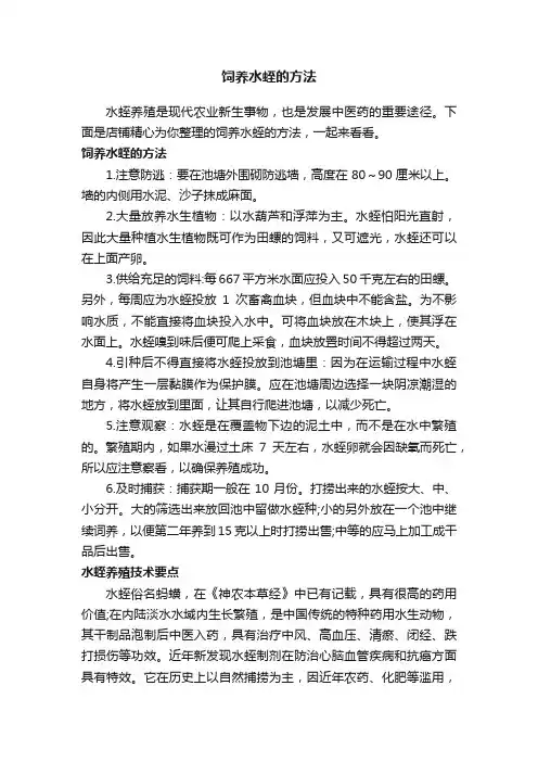 饲养水蛭的方法