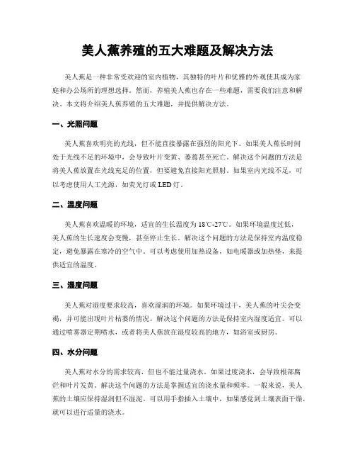 美人蕉养殖的五大难题及解决方法