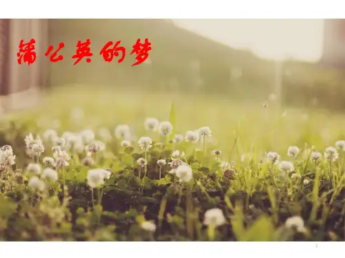 15 蒲公英的梦