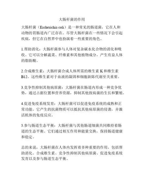 大肠杆菌的作用