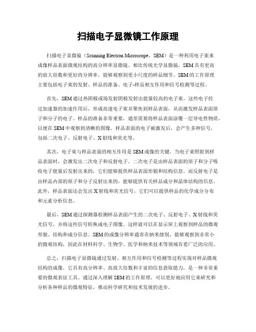 扫描电子显微镜工作原理