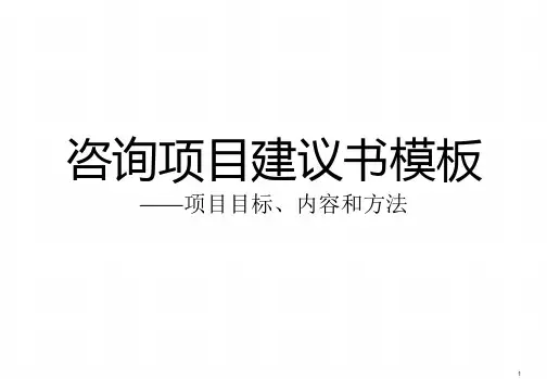 咨询项目建议书模板