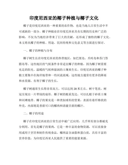 印度尼西亚的椰子种植与椰子文化