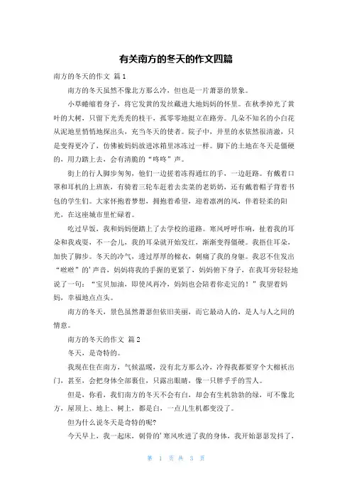 有关南方的冬天的作文四篇
