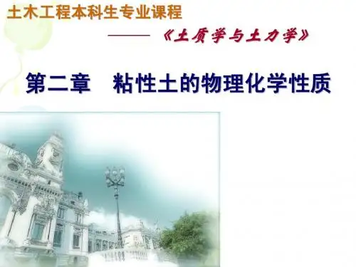 第二章粘性土的物理化学性质