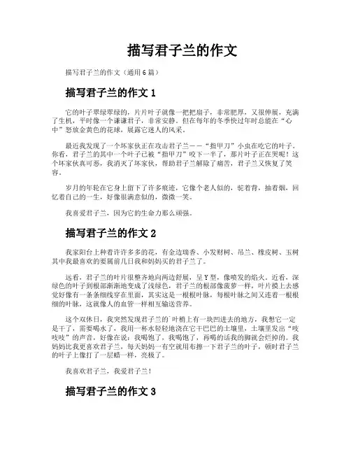 描写君子兰的作文