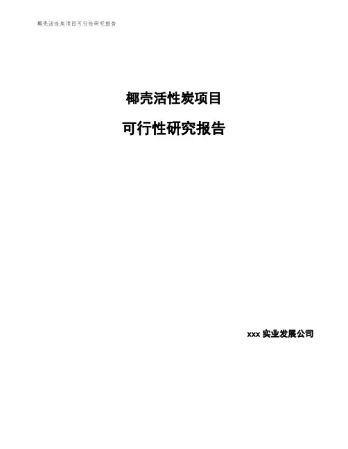 椰壳活性炭项目可行性研究报告