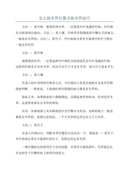 怎么找冬笋位置寻找冬笋技巧