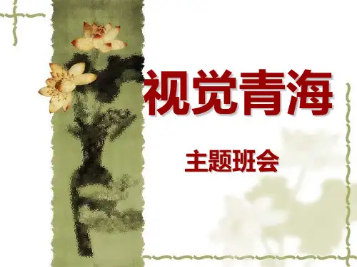 大美青海主题班会PPT课件