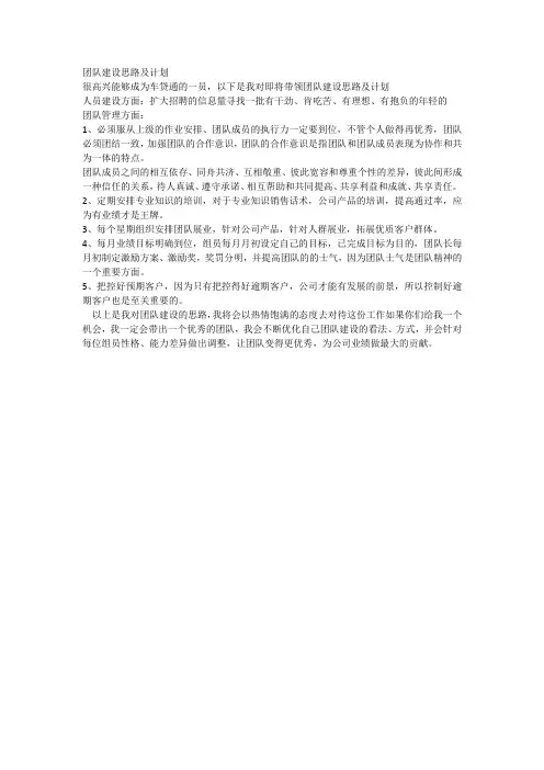 团队建设思路及计划