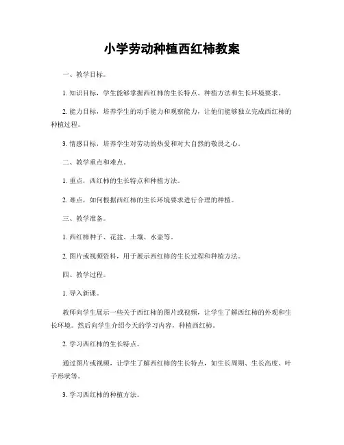 小学劳动种植西红柿教案